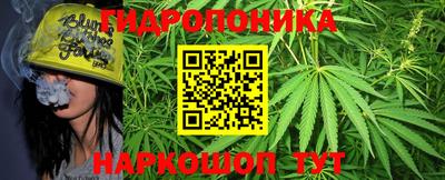 индика Будённовск