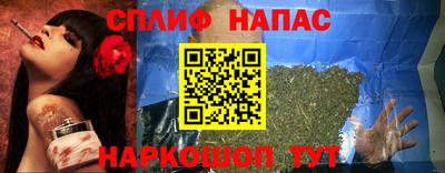 индика Будённовск